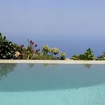 Bird'S Eye-View * 자고라