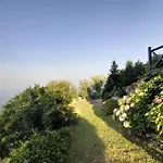 Bird'S Eye-View